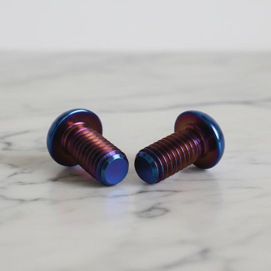 Ignition Cover Titanium Bolts